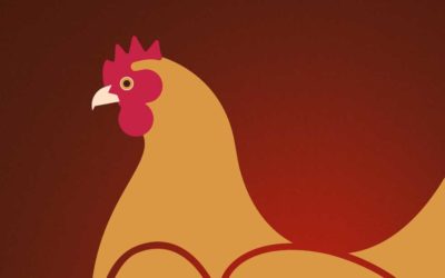 CHICKEN WINS – Überzeug die Jury am 6. Mai 2024!